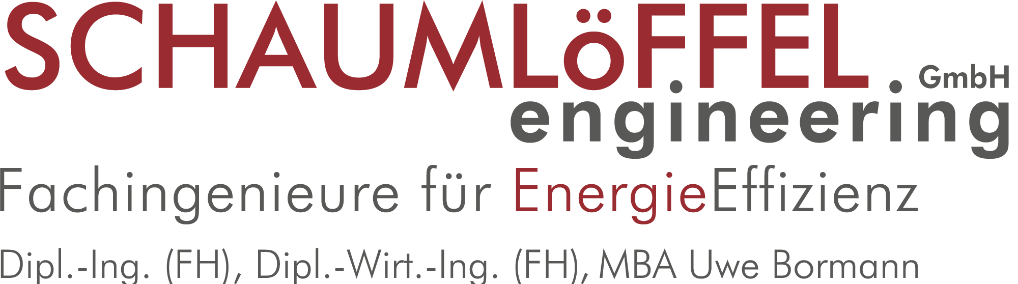 Logo Schaumlöffel GmbH